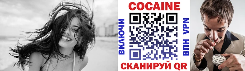где можно купить   Нестеровская  COCAIN 99% 