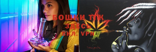 крисы Вязьма