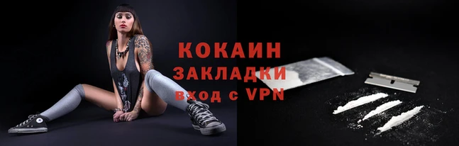 крисы Вязьма