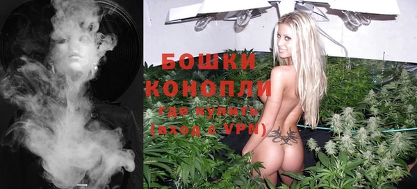 крисы Вязьма