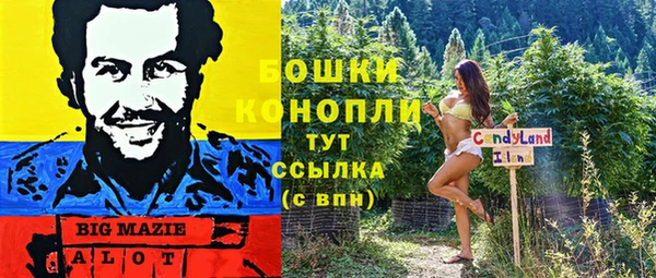 крисы Вязьма
