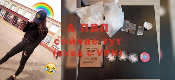 крисы Вязьма