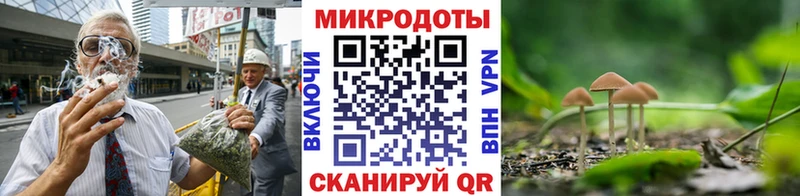 Галлюциногенные грибы мицелий  OMG ССЫЛКА  Нестеровская  купить наркотик 